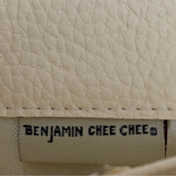 Benjamin Chee Chee.  Friend’s crossbody purse. Geese, indigenous designer - Picture 3 of 6